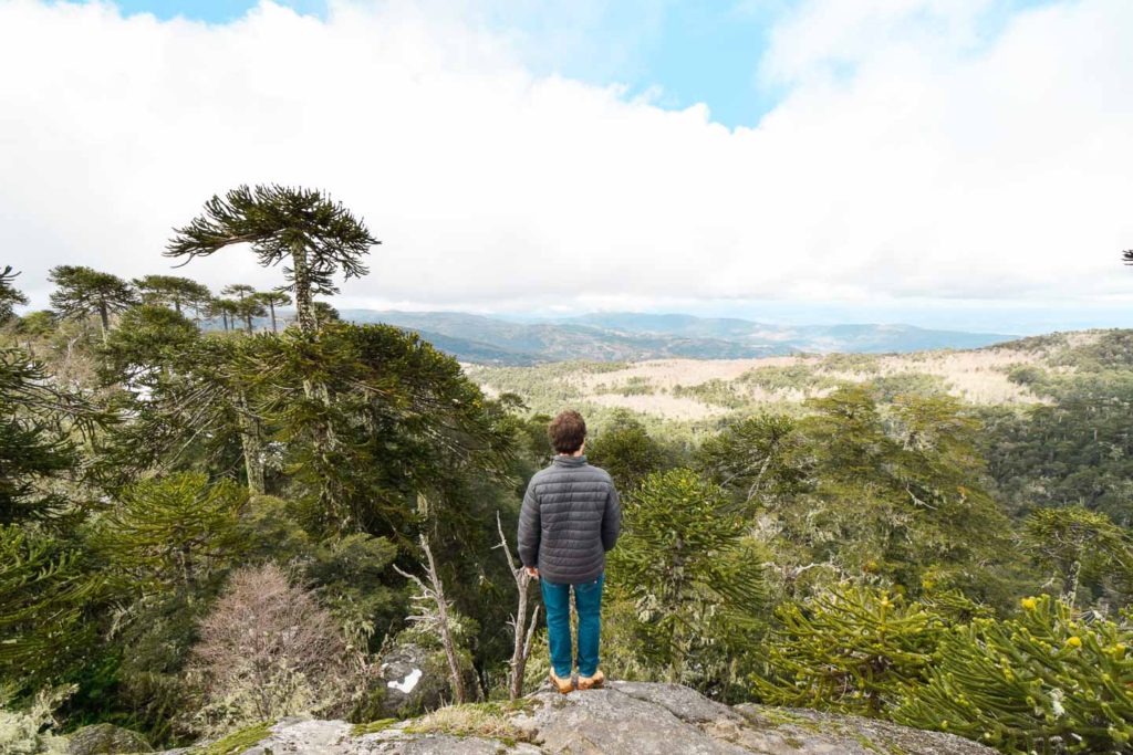 Parc national de Nahuelbuta - Pourquoi visiter le Chili 2018 - Universo Viajero + Traveleira