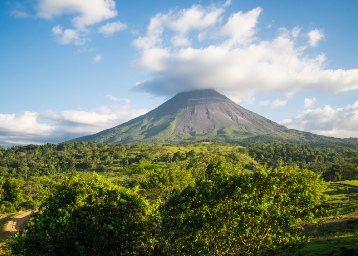 Costa Rica offer some of the best wildlife tours in the world