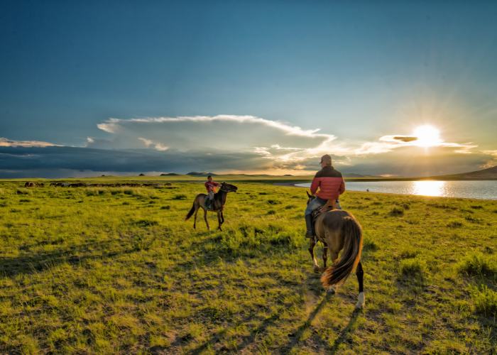 Mongolia offers some of the best wildlife tours in the world