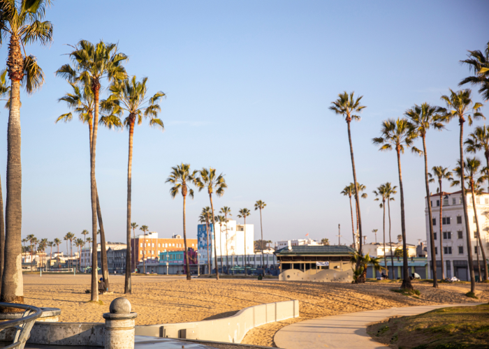 the shore of venice beach with palms, one of the best urban beaches in the world