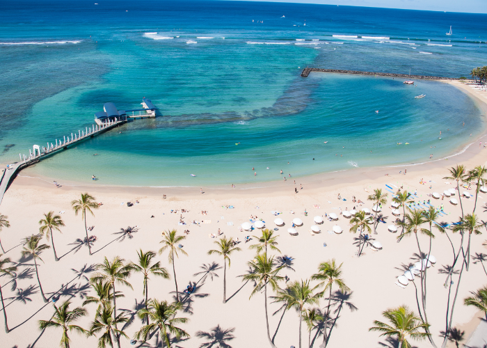 the shoreline of Waikiki beach in Hawaii with palms