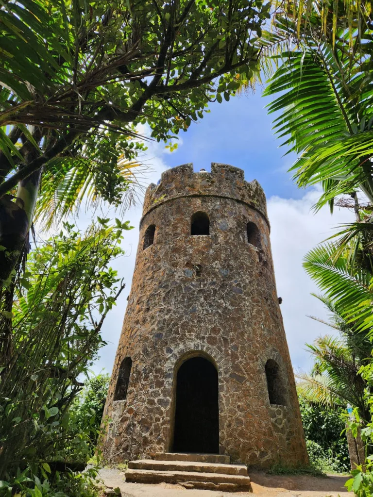 Best Tours in Puerto Rico in 2026 According to a Local 1 tower in el yunque rainforest puerto rico