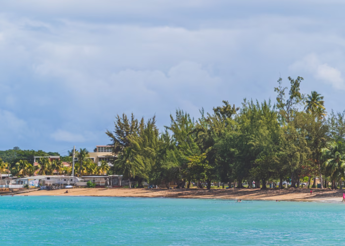 Unique Things to Do in Puerto Rico by Bad Bunny 2026 13 Seven Seas beach in Fajardo, Puerto Rico